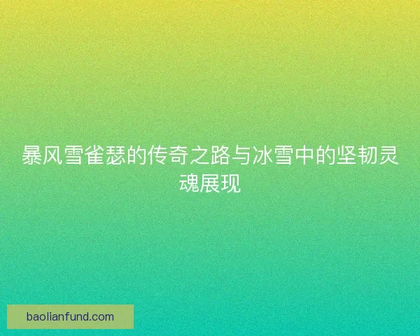 暴风雪雀瑟的传奇之路与冰雪中的坚韧灵魂展现