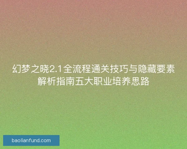 幻梦之晓2.1全流程通关技巧与隐藏要素解析指南五大职业培养思路
